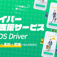DS Driver
