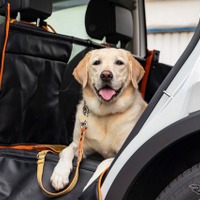 愛犬とのドライブをより快適に…VWがペット向けフラットベッド発売 画像