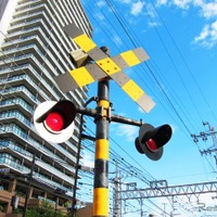 踏切事故を起こした時…損害賠償、懲罰はどうなる?【岩貞るみこの人道車医】 画像