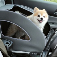 愛犬用「カーアクセサリー」機能的で便利、肉球デザインも魅力!…ホンダアクセス 画像