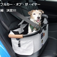 わんダフル カー・オブ・ザ・イヤー 国産車編、今年は国産ドッグフレンドリーカーの豊作年!【青山尚暉のわんダフルカーライフ】 画像