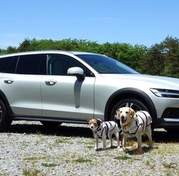 筆者の愛車と愛犬