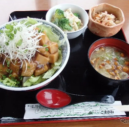 信州高野豆腐と豚肉のあんかけ丼