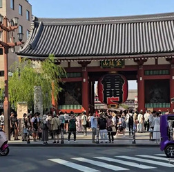 ビークルファンの小型EV（参考）