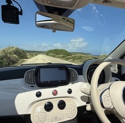 無臭で快適！ ペットや子供がいても使いやすい車内消臭術～Weeklyメンテナンス～