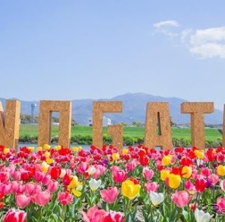 「のおがたチューリップフェア」