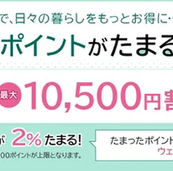ruumポイントがたまる自動車保険