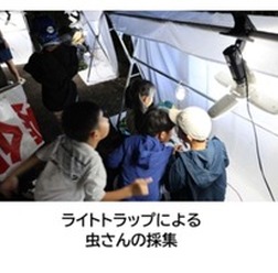 高松自動車道・高瀬パーキングエリア(PA)(下り線)において、ライトトラップで虫を採集する親子向けイベントを開催