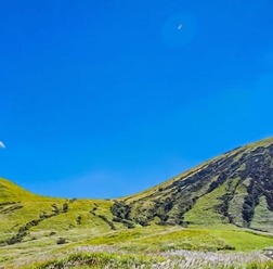 投稿写真のイメージ