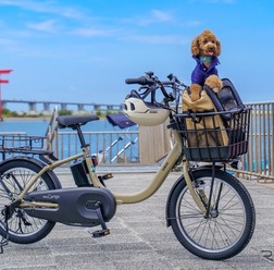 「わんこと乗れるレンタサイクル」の実証事業を、2026年10月1日から開始