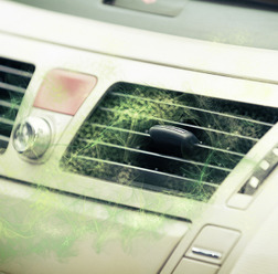 車のエアコンから「イヤな臭い」がしたときの対処法！…フィルター交換、エバポレーター洗浄