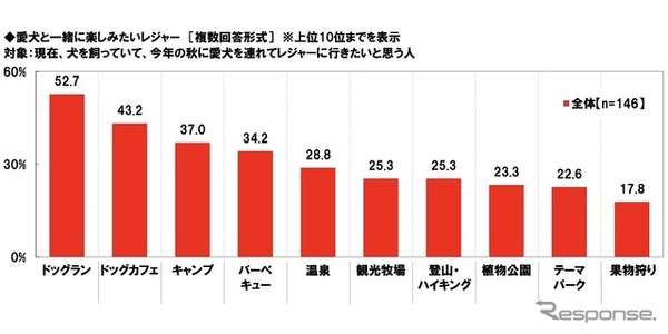 愛犬と一緒に楽しみたいレジャー