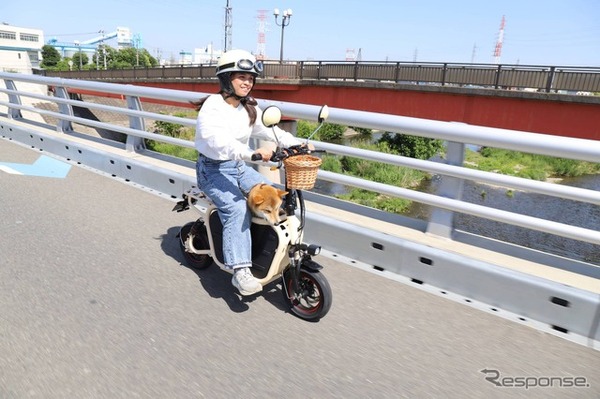 愛犬とお出かけ