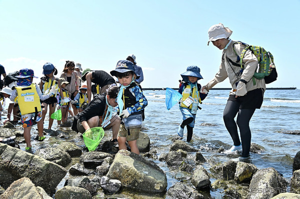 ホンダアクセス子育て応援隊　海の自然体験イベント
