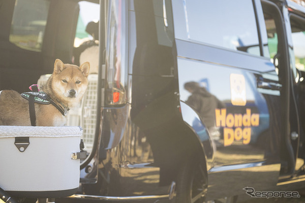 Honda Dog…Sippo Festa2025