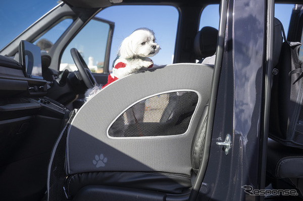 Honda Dog…Sippo Festa2025