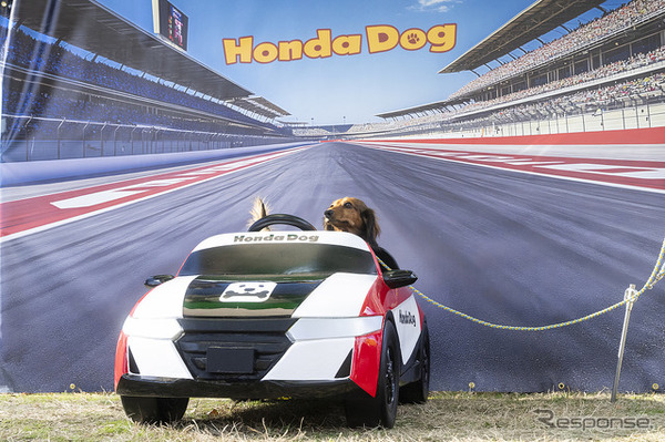 Honda Dog…Sippo Festa2025