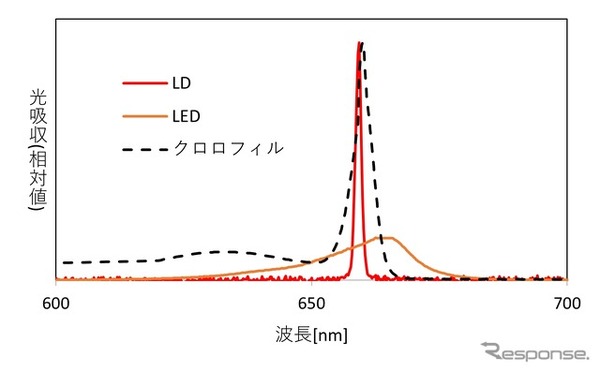 赤色LD・赤色LEDとクロロフィルのスペクトル特性