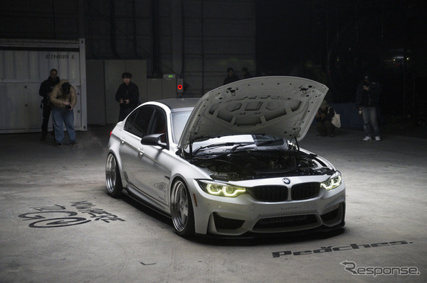 NoWhereToGo 2026（ノーウェア・トゥ・ゴー）