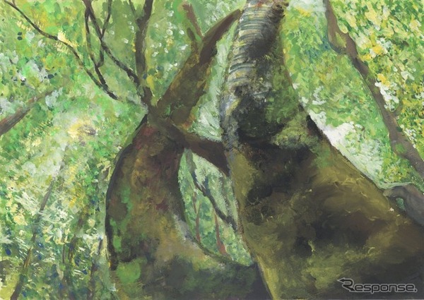 「この緑を、あしたへ」石神 和香さん