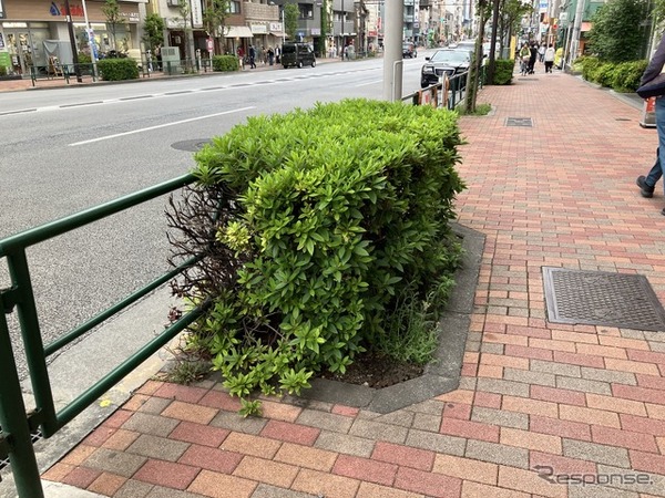 植え込みの例（東京都江東区）