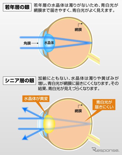 大人世代にマッチする、見やすい3000Kの暖色光｜LEDヘッドバルブ C5000