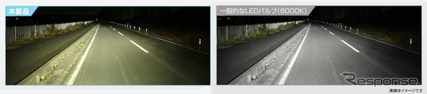 実用性を重視する人に｜LEDヘッド＆フォグバルブ C4000