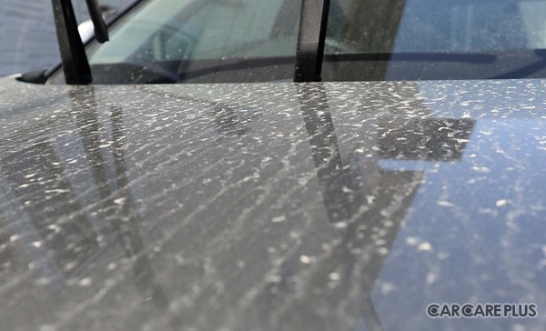 洗車を少しサボったら「白いウロコ汚れ」「黒い筋」などが残る…車の水アカを落とす正しい方法とは？　デメリットと注意点を知る