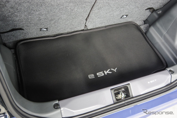 スズキ e SKY（eスカイ）のオプション装着車