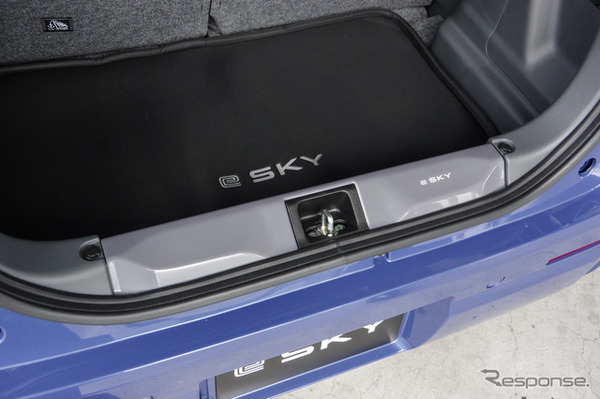 スズキ e SKY（eスカイ）のオプション装着車