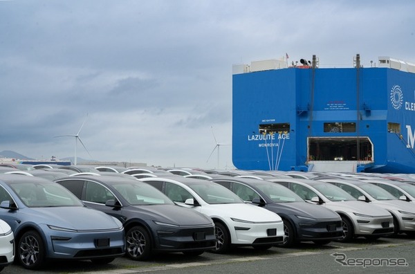 三河港に並ぶ Model Y L