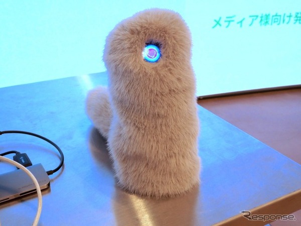 目が赤い!!