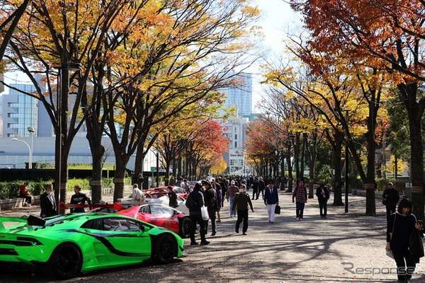 『SHIBUYA SPORTS CAR FES 2017』会場 代々木公園けやき並木