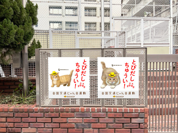 猫飛び出しサイン：渋谷教育学園渋谷中学高等学校