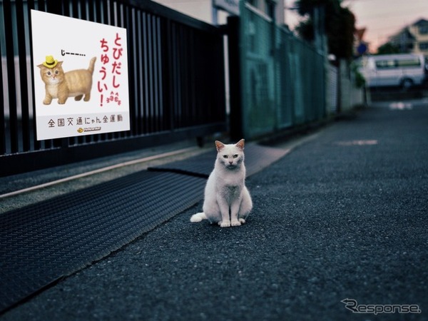 街中に「猫飛び出しサイン」が広まったイメージ