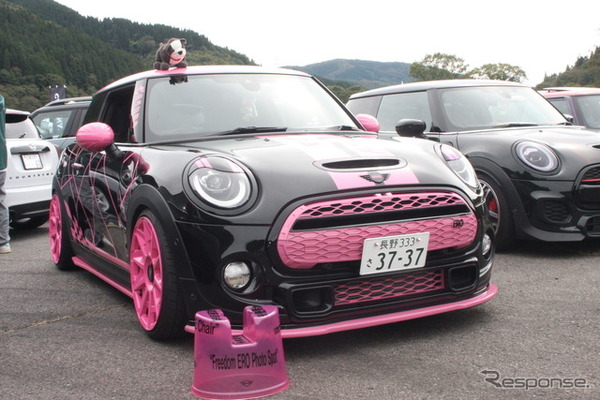 会場に集まった個性的なMINI