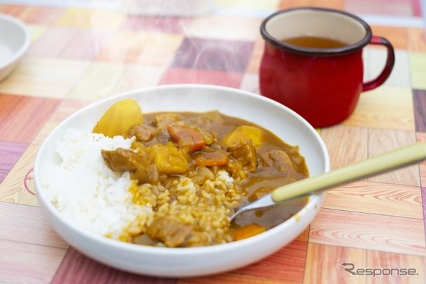 カレーライス（イメージ）