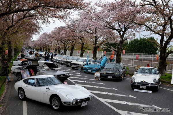 桜吹雪と名車の饗宴…オールドカーミーティングin清久さくらまつり