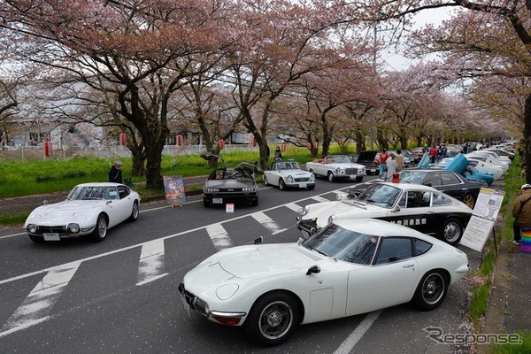 桜吹雪と名車の饗宴…オールドカーミーティングin清久さくらまつり