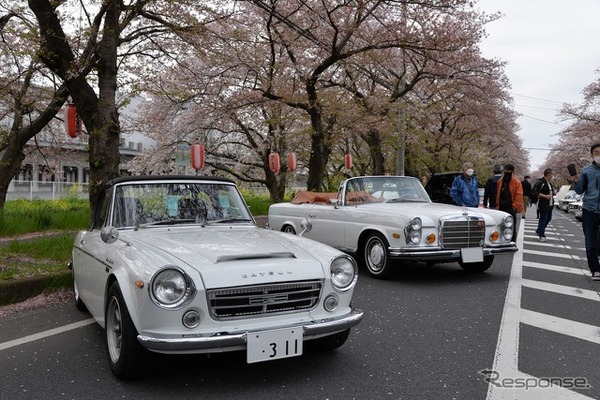 桜吹雪と名車の饗宴…オールドカーミーティングin清久さくらまつり