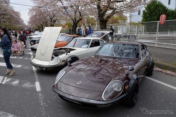 桜吹雪と名車の饗宴…オールドカーミーティングin清久さくらまつり