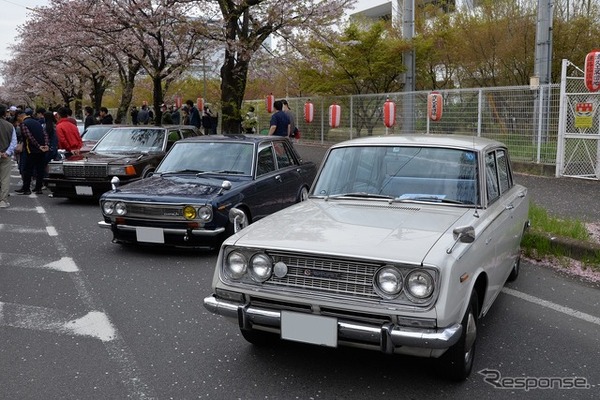 桜吹雪と名車の饗宴…オールドカーミーティングin清久さくらまつり