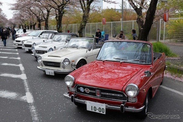 桜吹雪と名車の饗宴…オールドカーミーティングin清久さくらまつり