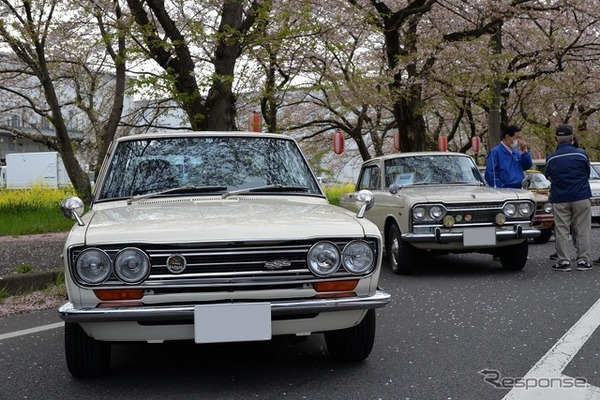 桜吹雪と名車の饗宴…オールドカーミーティングin清久さくらまつり