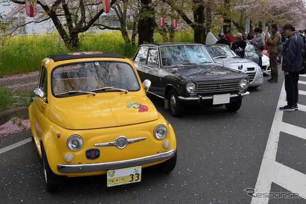 桜吹雪と名車の饗宴…オールドカーミーティングin清久さくらまつり