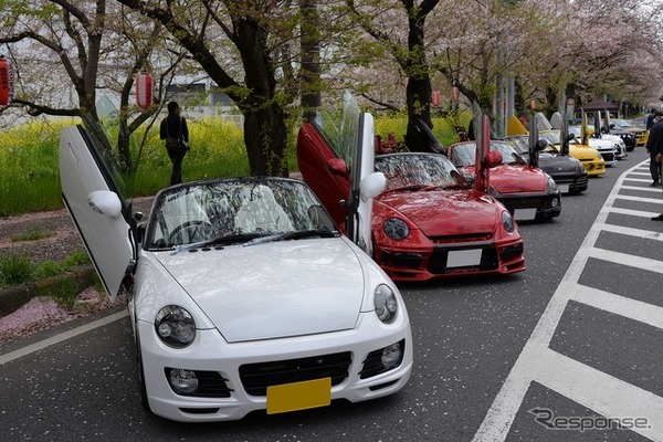 桜吹雪と名車の饗宴…オールドカーミーティングin清久さくらまつり