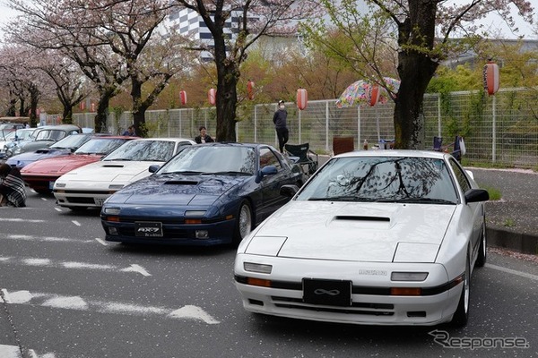 桜吹雪と名車の饗宴…オールドカーミーティングin清久さくらまつり