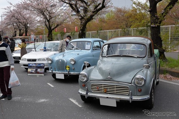 桜吹雪と名車の饗宴…オールドカーミーティングin清久さくらまつり