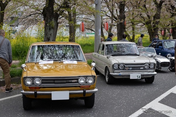 桜吹雪と名車の饗宴…オールドカーミーティングin清久さくらまつり