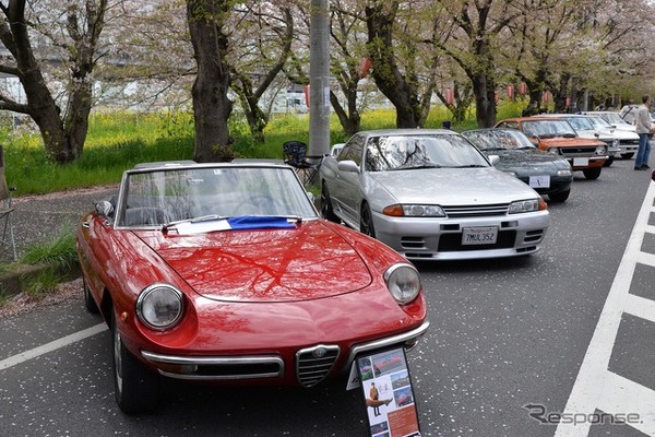 桜吹雪と名車の饗宴…オールドカーミーティングin清久さくらまつり